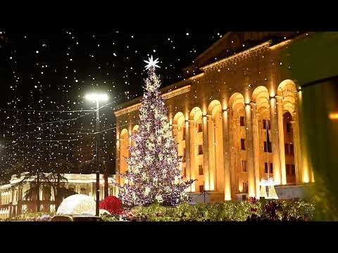 Holiday Lights and Christmas Tree in Tbilisi | Georgia
